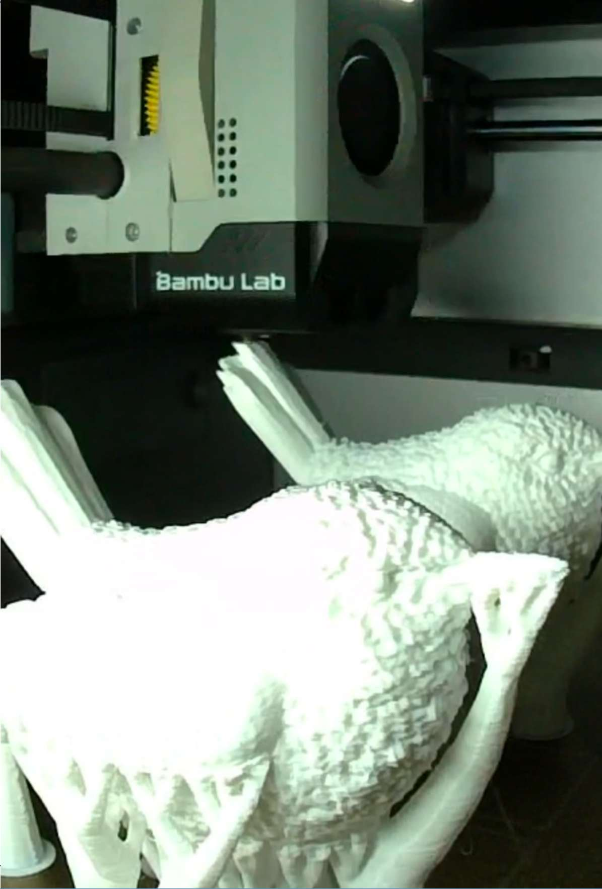 Painted Pacific Wren models